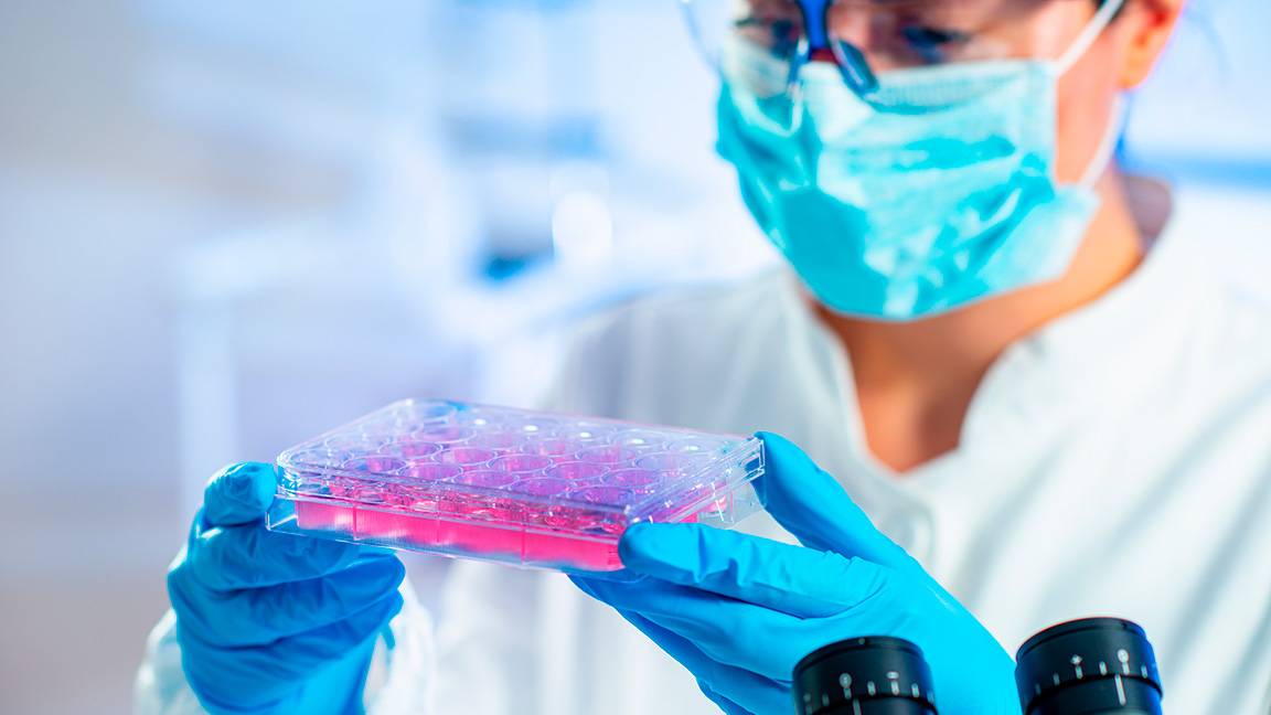 No que eu acredito: pesquisa cientifica e inovação